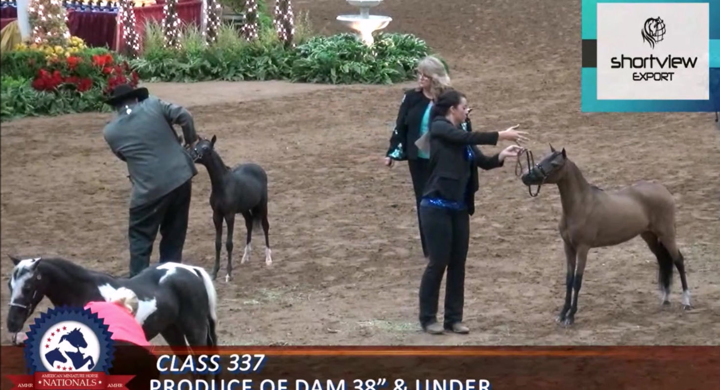 National Winners Part 2